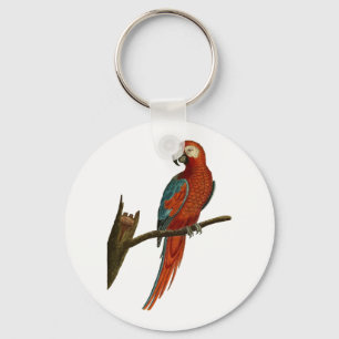 Parrot Nyckelring