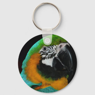 Parrot Nyckelring