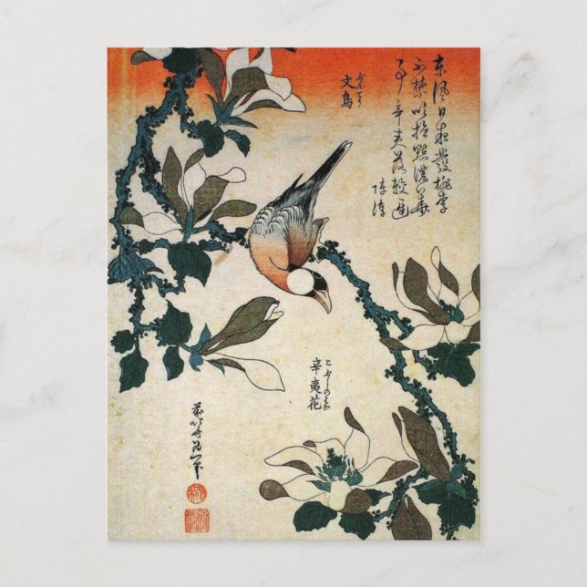 Parrot och Blommor Vykort (Framsida)