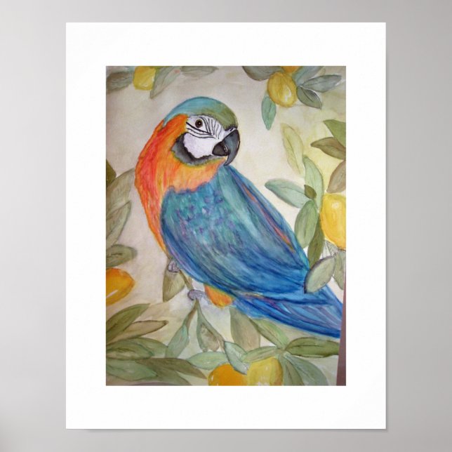 Parrot och citroner poster (Framsidan)