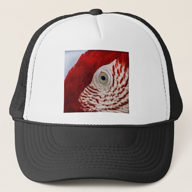 Parrot öga keps (Framsida)