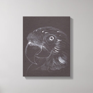 Parrot - Original Teckning - Kanvastryck