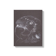 Parrot - Original Teckning - Kanvastryck