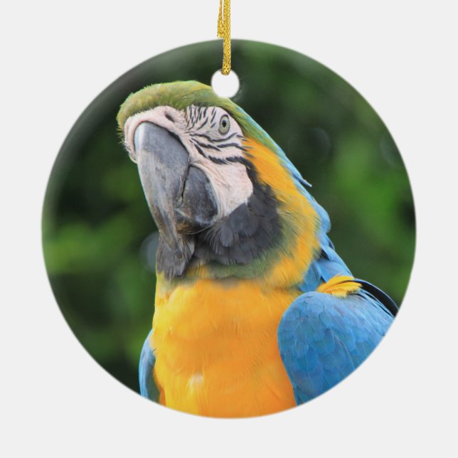 Parrot ornament (Baksidan)