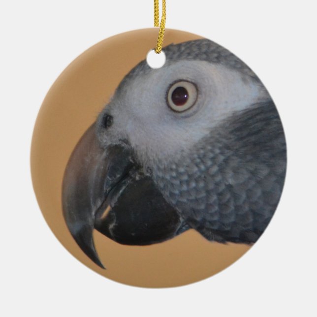 Parrot Ornament (Framsidan)
