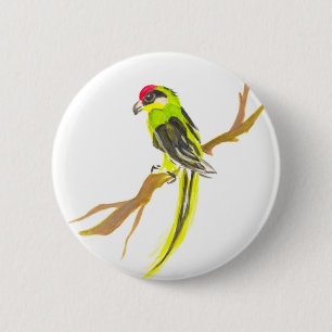 Parrot på gren. Vattenfärgmålning. Knapp