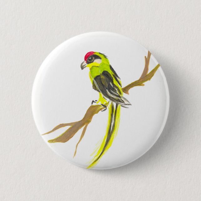 Parrot på gren. Vattenfärgmålning. Knapp (Framsida)