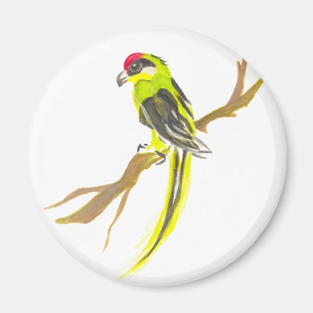 Parrot på gren. Vattenfärgmålning. Magnet (Framsidan)
