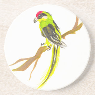 Parrot på gren. Vattenfärgmålning. Underlägg