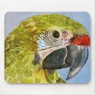 Parrot-papp Musmatta