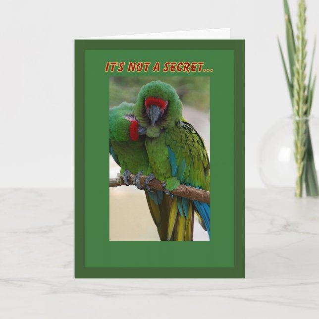 Parrot par födelsedagskort kort (Framsida)