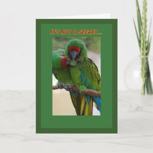 Parrot par födelsedagskort kort
