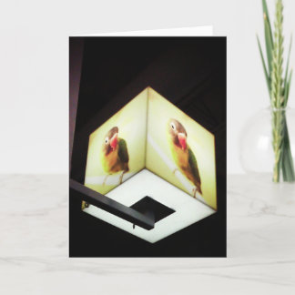 "Parrot Pengarar Register Light" - tackkort Kort