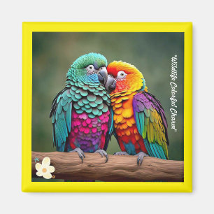 ’Parrot Photography Showcase’ Magnet