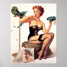 Parrot Pin Up