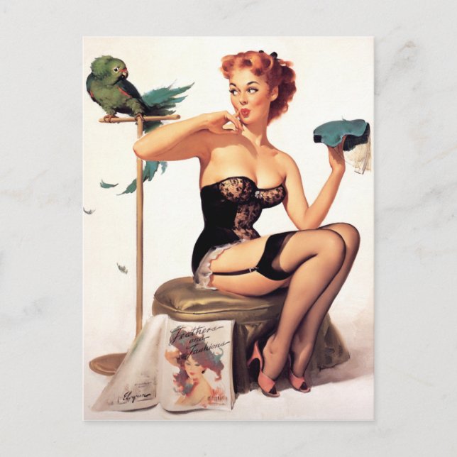 Parrot Pin Up Vykort (Framsida)