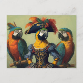 Parrot Pirat Vykort