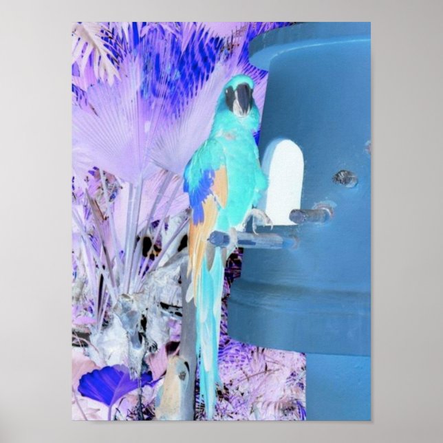 Parrot Pop Art Poster (Framsidan)
