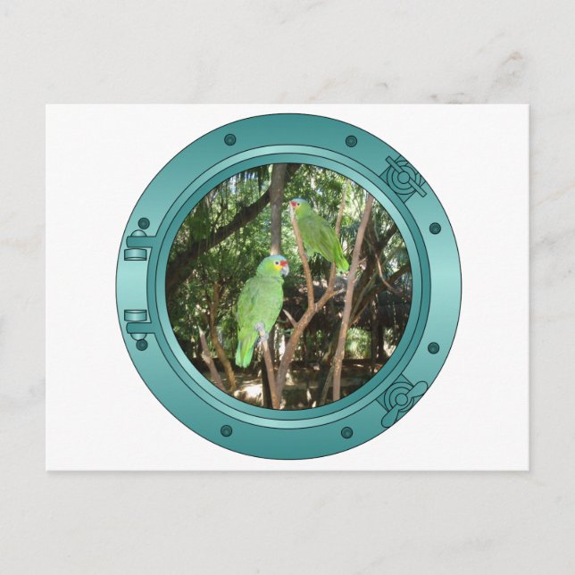 Parrot Porthole Vykort (Framsida)