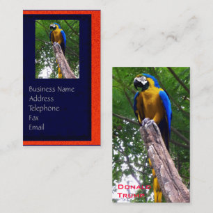 Parrot Pose ~ Affärskort Visitkort