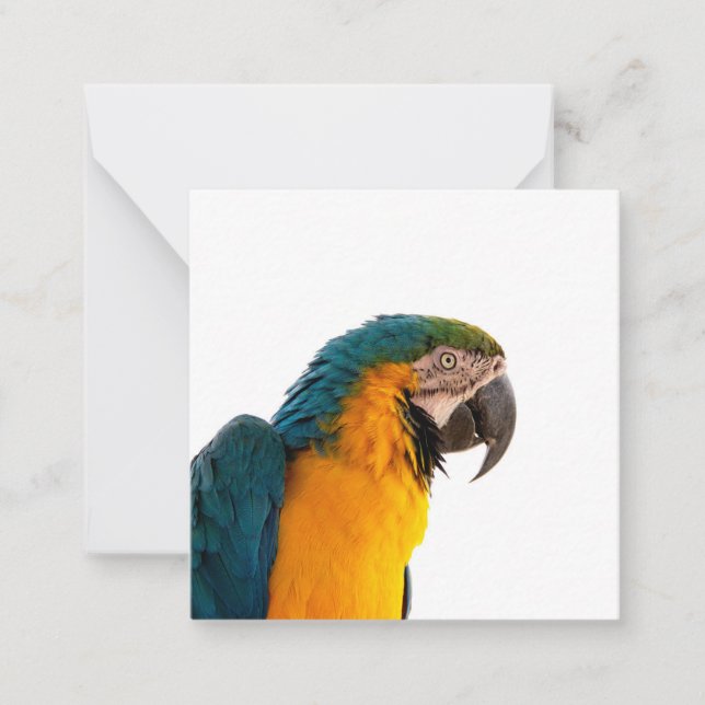 Parrot Post-it Notes Anteckningskort (Framsida)