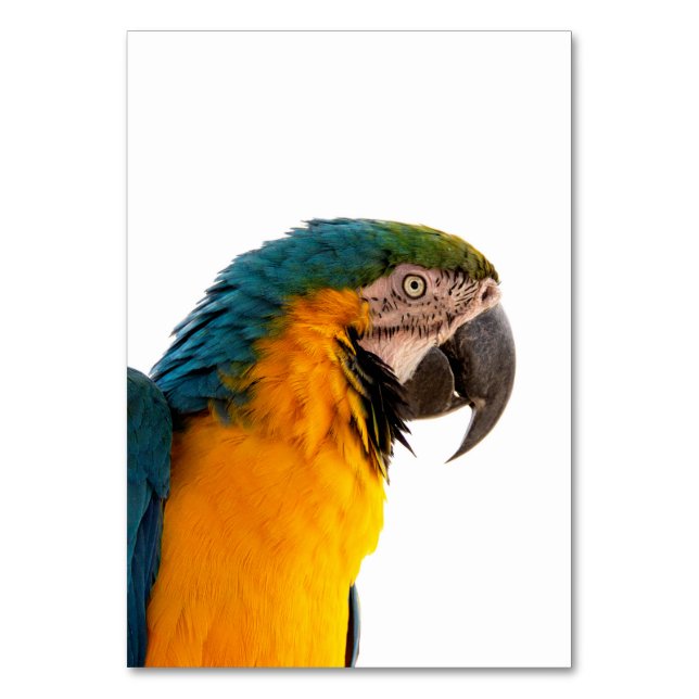Parrot Post-it Notes Bordsnummer (Framsidan)