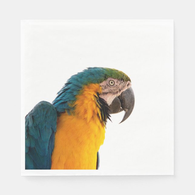 Parrot Post-it Notes Pappersservett (Framsidan)