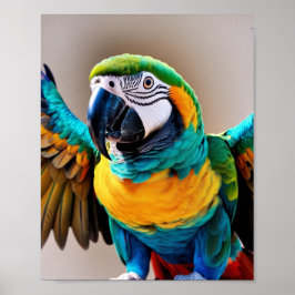 Parrot Poster