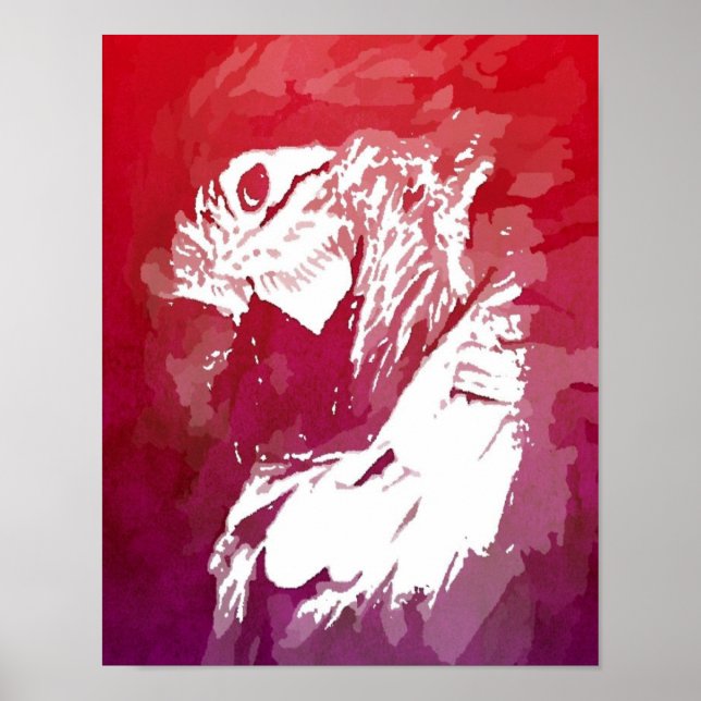 Parrot Poster (Framsidan)