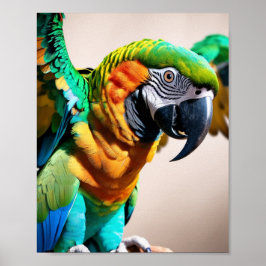 Parrot Poster