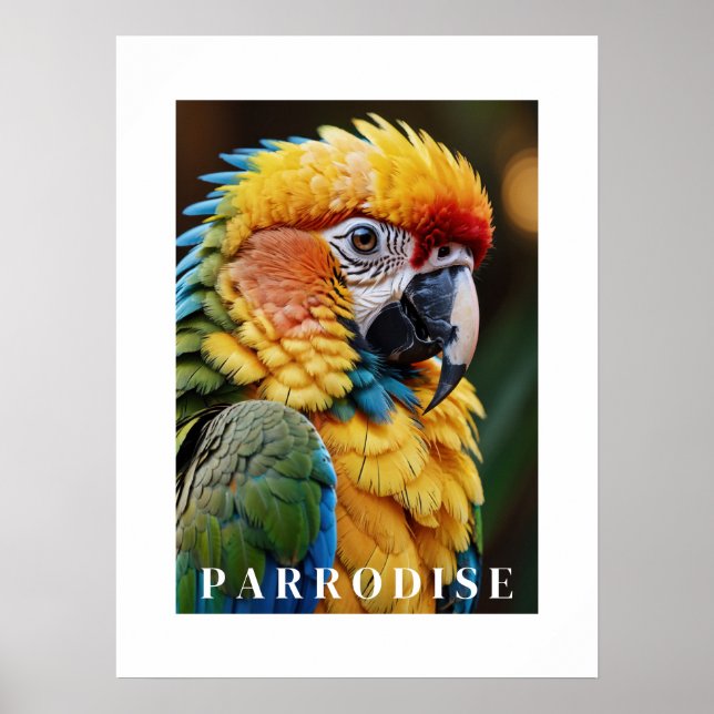 Parrot Poster (Framsidan)