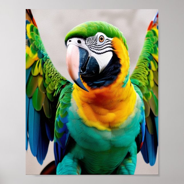 Parrot Poster (Framsidan)