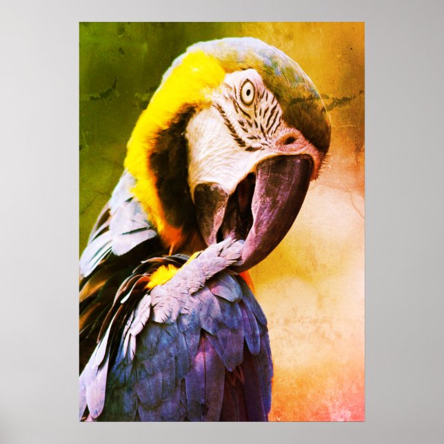 Parrot Poster (Framsidan)