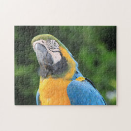 Parrot Puzzle Pussel
