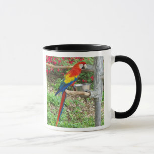 Parrot Ringer Mugg
