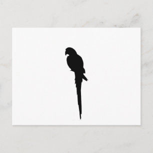Parrot silhouette vykort