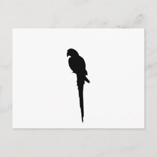 Parrot silhouette vykort
