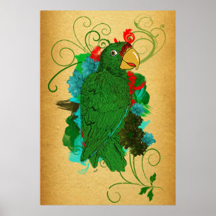 Parrot Skriv ut/Cotorra Poster