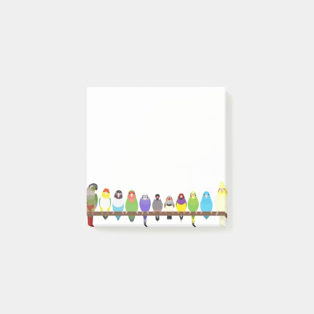 Parrot Sticky Notes Post-it Block (Framsida)