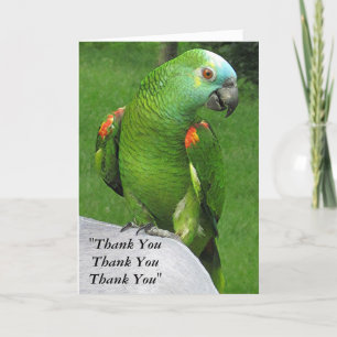 Parrot Tack Kort