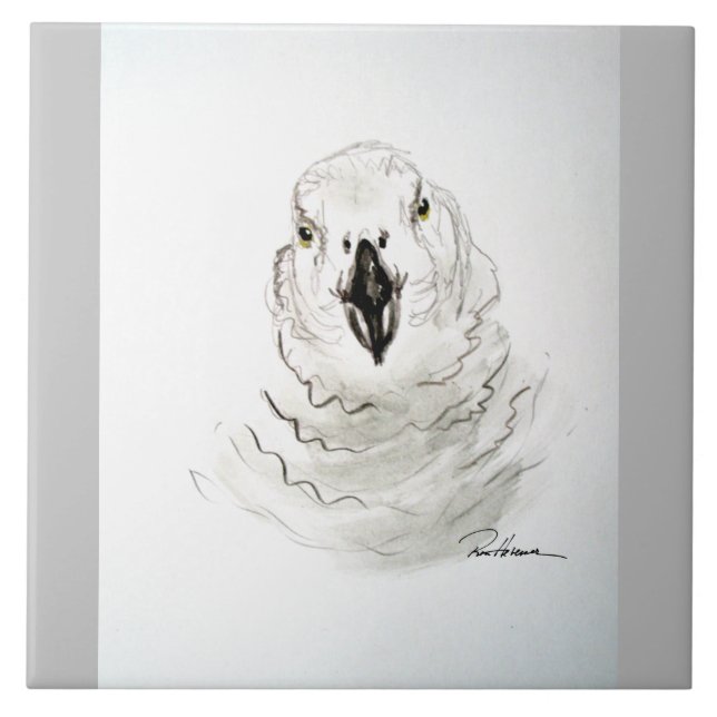 Parrot tittar på dig. . . kakelplatta (Framsidan)