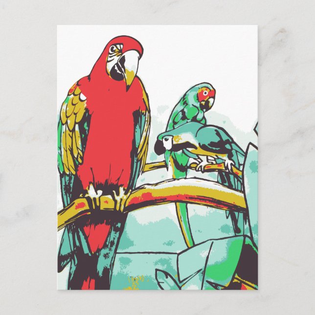 Parrot Trio Vykort (Framsida)