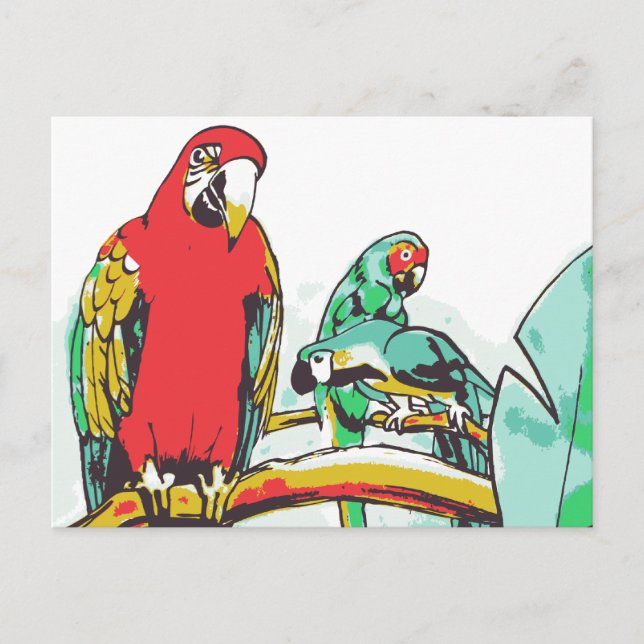 Parrot Trio Vykort (Framsida)