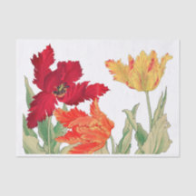 Parrot tulip, Blommigt Decoupage
