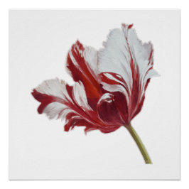 Parrot Tulip Fine Art Print Perfect Poster