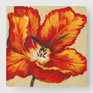 Parrot Tulip I Fyrkantig Klocka