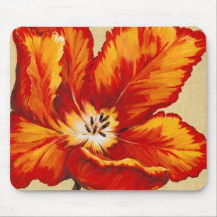 Parrot Tulip I Musmatta