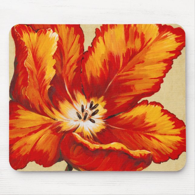 Parrot Tulip I Musmatta (Framsidan)