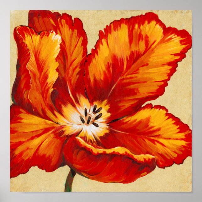 Parrot Tulip I Poster (Framsidan)