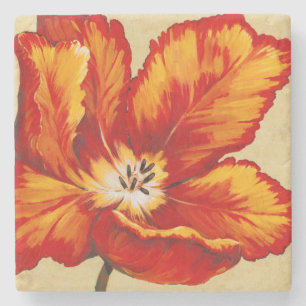 Parrot Tulip I Underlägg Sten